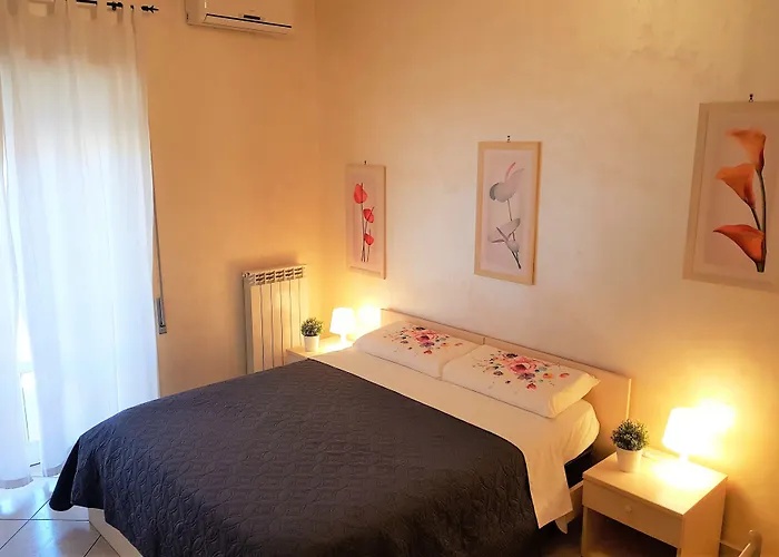 Dodo Holiday InAlbergo